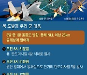 2010년 연평도 때와 달랐다… 軍, 전투기 띄워 3배로 응징