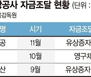 환율리스크·재무부담·출혈경쟁 해결하면 ‘완벽 부활’ [비상하는 항공업계 (中)]