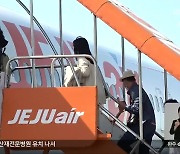 제주항공 ‘철수’…군산공항 운항 ‘반토막’