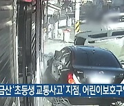 금산 ‘초등생 교통사고’ 지점, 어린이보호구역 지정