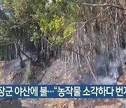 기장군 야산에 불…“농작물 소각하다 번져”