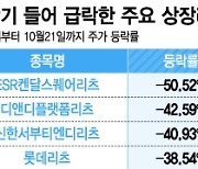 한달 새 상장리츠 1조원 빠졌는데 보험사 리츠 '뚜벅뚜벅' 왜?