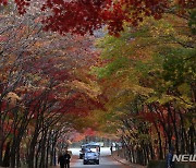 강원 3일 낮부터 찬 공기 남하 기온 뚝