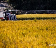 "글로벌 식량위기 향후 2~3년간 지속"…기재부, 미래전략포럼 개최