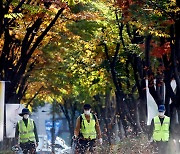 전동 송풍기로 낙엽 치우기