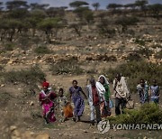 Ethiopia Tigray Crisis