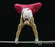 Britain World Gymnastics Championships