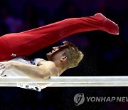 BRITAIN ARTISTIC GYMNASTICS