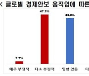 국내 기업 절반 "경제안보 강화 움직임으로 실적 악영향"