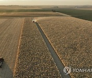 USA AGRICULTURE WISCONSIN CORN HARVEST