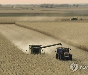 USA AGRICULTURE WISCONSIN CORN HARVEST