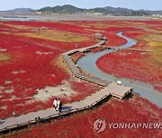 붉게 물든 태평염생식물원 산책