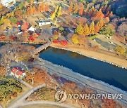 '선녀.신선들이 놀다간' 임실 사선대 단풍 절정