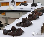 문화재보존과학센터, 보존처리 중인 국보 안동 하회탈과 병산탈 공개