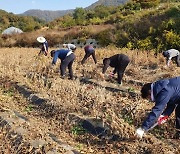 옥천군, 지역 곳곳에서 '가을철 농촌일손돕기' 나선다