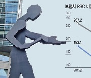 보험사 자금조달 여건 악화…내년 新지급여력비율 걱정