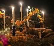 [위클리 포토브리핑] 먼저 간 이들을 기리는  ‘죽은 자의 날(the Day of the Dead) ' 다양한 풍경