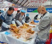 평창 고랭지김장축제 3년 만에 개막… 무·배추 160t 준비