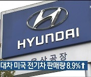 10월 현대차 미국 전기차 판매량 8.9%↑