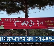 ‘제7회 홍천사과축제’ 개막…판매 위주 행사