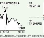 김장 무·배추값 떨어지니…양념채소가 오르네