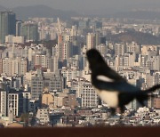 서울 아파트 매수심리 3년6개월만에 최저