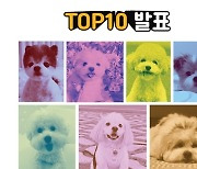 '오마이독' TOP10 공개…랜선 집사들 '심쿵' 주인공은?