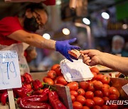 9월 유로존 생산자물가 전년비 41.9%↑..."에너지 상승 둔화"