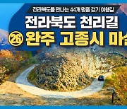 천고마비의 계절, 감이 익어가는 풍경이 있는 '완주 고종시 마실길'[전라북도 천리길]