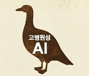 [속보] 충북 청주 육용오리 농장 고병원성 AI 확진…방역조치 강화