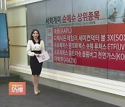 [서학개미 뭐샀나] 애플 시가총액, 아마존·알파벳·메타 합친 것보다 커