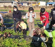 돌봄+일자리 제공… 농촌 곳곳에 싹 트는 사회적농업 [농어촌이 미래다-그린라이프]