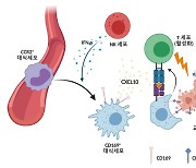 악성 뇌종양 탐지해 싸우는 대식세포, 국내 연구진 발견