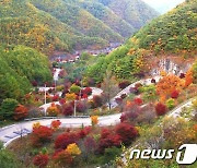 단양군, 명품 단풍길 관광객 몰리는 '보발재' 안전 강화