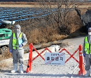 순창 산란계 농장서 고병원성 조류인플루엔자 의심축 신고