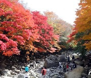 쓰러지고 넘어지고…단풍 든 한라산서 산악사고 잇따라