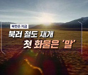 북러 철도 재개 첫 화물은 '말'