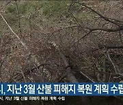 강릉시, 지난 3월 산불 피해지 복원 계획 수립