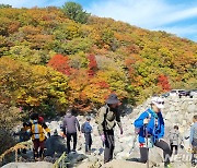 제주, 찬 공기 남하 '쌀쌀'…낮 최고 15~17도