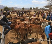 KENYA ENVIRONMENT DROUGHT LIVESTOCK