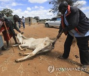 KENYA ENVIRONMENT DROUGHT LIVESTOCK