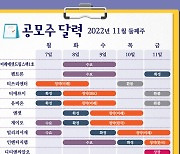 [공시줍줍]공모주달력 11월 7~11일