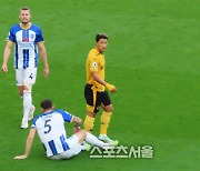 '85일만에 EPL 선발→슛 0개' 황희찬, 씁쓸하게 떠났다…'퇴장 변수' 울버햄턴, 브라이턴에 2-3 패 [SS현장]