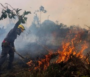 아마존 불법 벌채 전쟁 나선 룰라 당선에 브라질·인니·콩고 ‘열대우림 OPEC’ 뜬다...COP27 개막