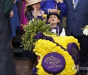 Breeders Cup Horse Racing