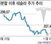 뉴욕증시도 어렵다지만…이백슬라 담는 개미들