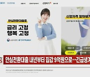 (영상)안심전환대출 내년부터 집값 9억원으로…긴급생계비 소액대출 추진