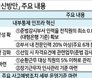 “금융사 CEO 솜방망이 처벌 안돼”...내부 통제기준 손질 제재 강도 ↑