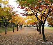 [울산소식] 울산시설공단, 울산체육공원 낙엽산책길 운영 등