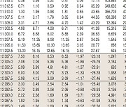 [데이터로 보는 증시]코스피200지수 옵션 시세(11월 7일)